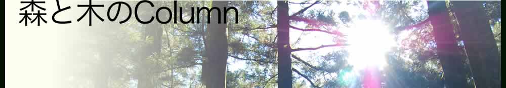 森と木のコラムイメージ画像